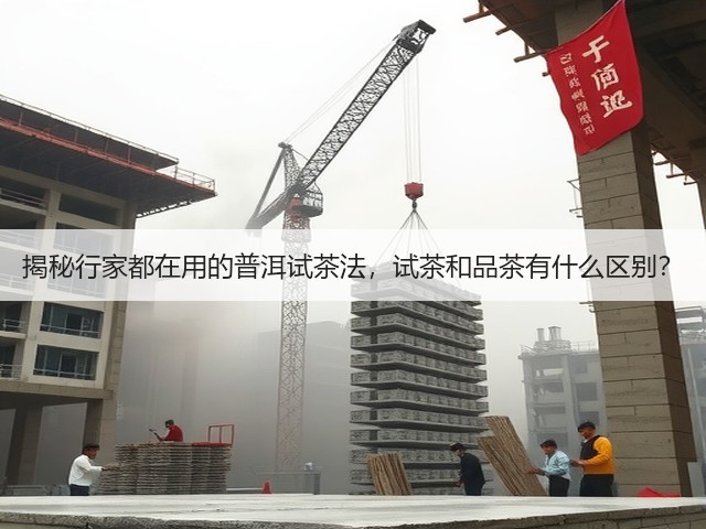 揭秘行家都在用的普洱试茶法,试茶和品茶有什么区别? 揭秘行家都在用的普洱试茶法,试茶和品茶有什么区别?
