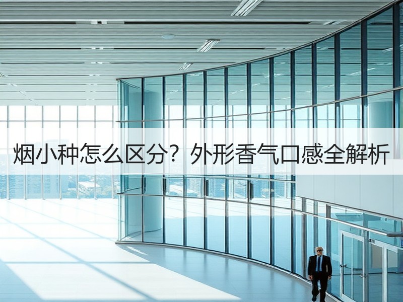 烟小种怎么区分？外形香气口感全解析