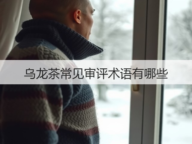 乌龙茶常见审评术语有哪些