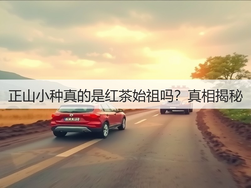 正山小种真的是红茶始祖吗？真相揭秘
