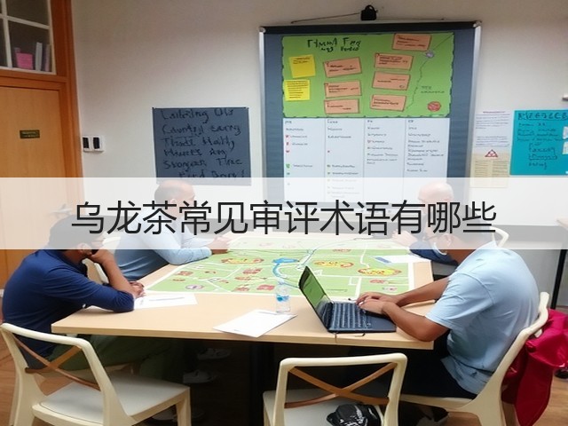 乌龙茶常见审评术语有哪些