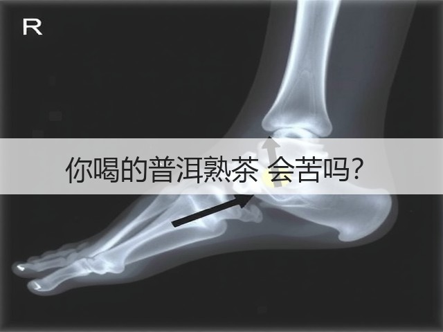 你喝的普洱熟茶 会苦吗？