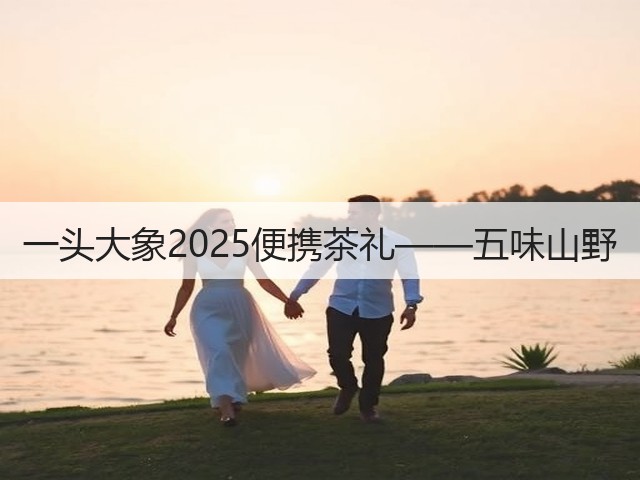 一头大象2025便携茶礼——五味山野