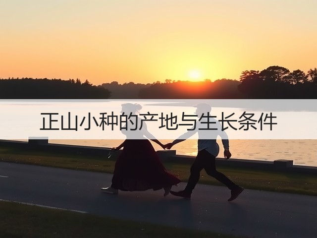正山小种的产地与生长条件 正山小种的产地与生长条件