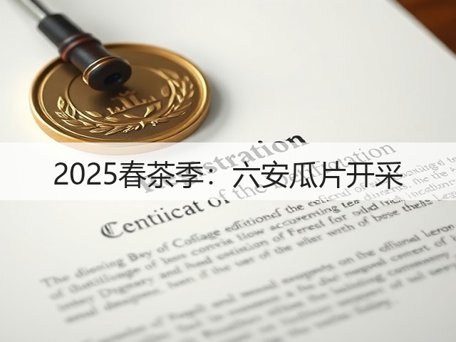2025春茶季：六安瓜片开采
