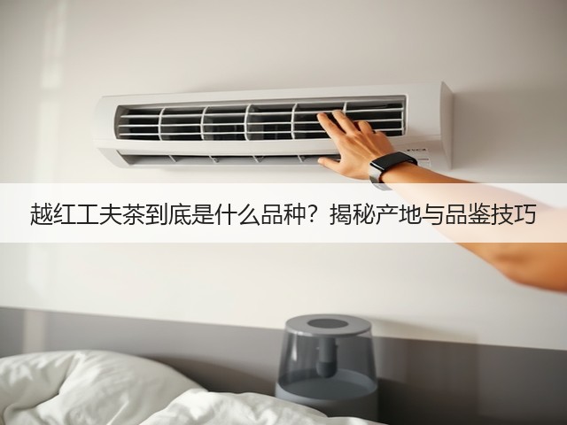 越红工夫茶到底是什么品种？揭秘产地与品鉴技巧