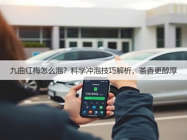 九曲红梅怎么泡？科学冲泡技巧解析，茶香更醇厚