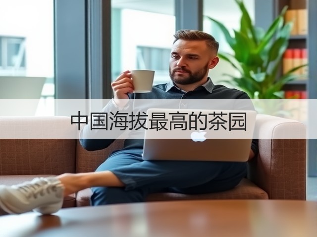 中国海拔最高的茶园 中国海拔最高的茶园