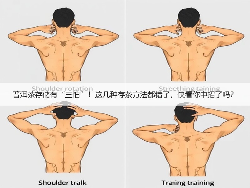 普洱茶存储有“三怕”！这几种存茶方法都错了，快看你中招了吗？