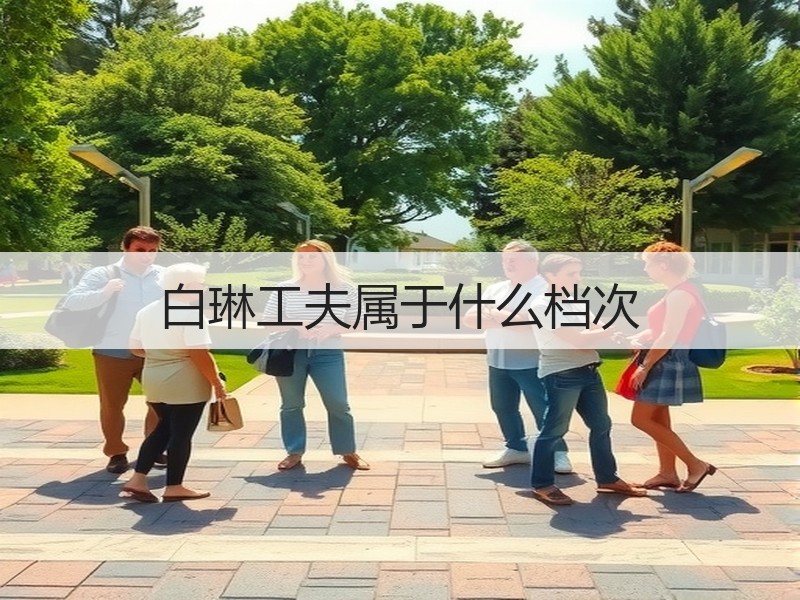 白琳工夫属于什么档次