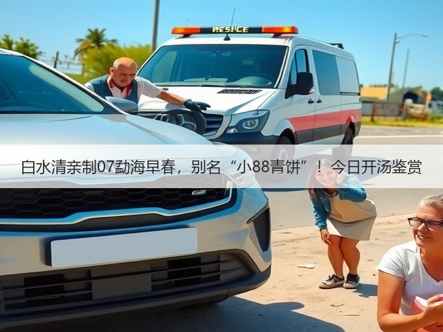 白水清亲制07勐海早春,别名“小88青饼”!今日开汤鉴赏 白水清亲制07勐海早春,别名“小88青饼”!今日开汤鉴赏