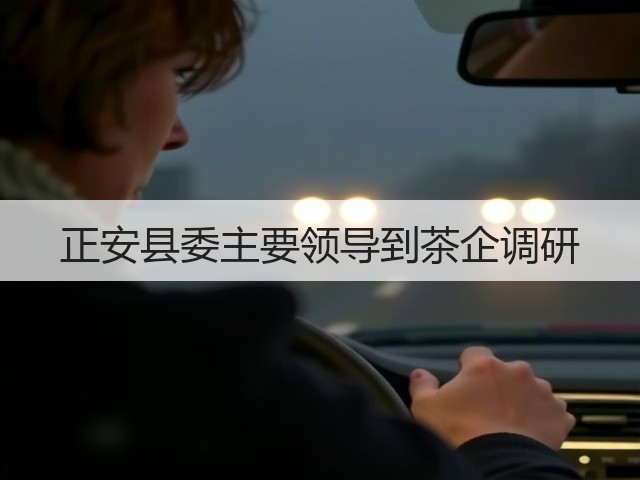 正安县委主要领导到茶企调研