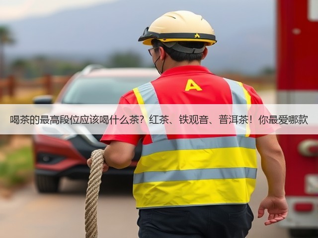 喝茶的最高段位应该喝什么茶?红茶、铁观音、普洱茶!你最爱哪款 喝茶的最高段位应该喝什么茶?红茶、铁观音、普洱茶!你最爱哪款