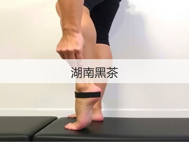 湖南黑茶