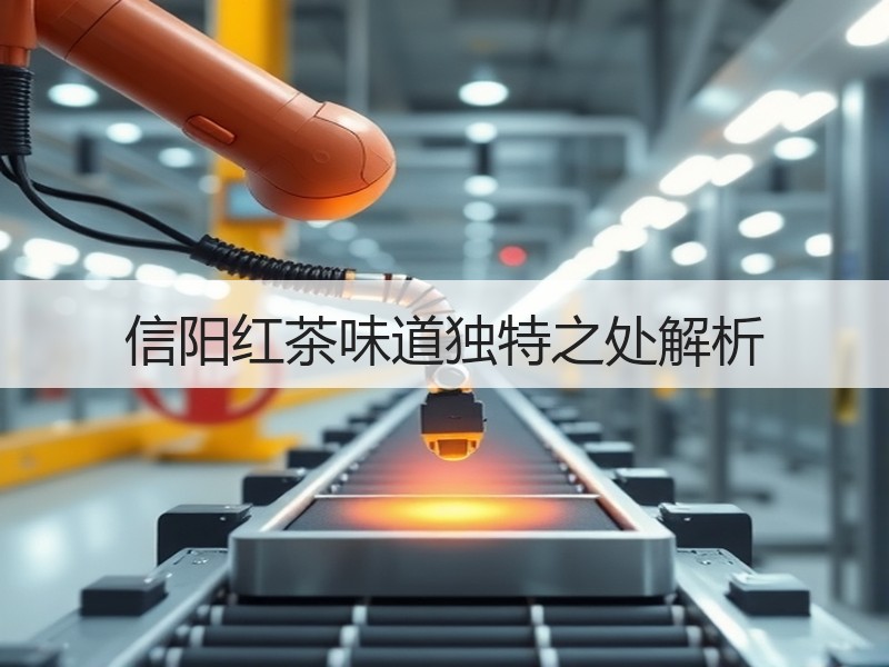 信阳红茶味道独特之处解析 信阳红茶味道独特之处解析