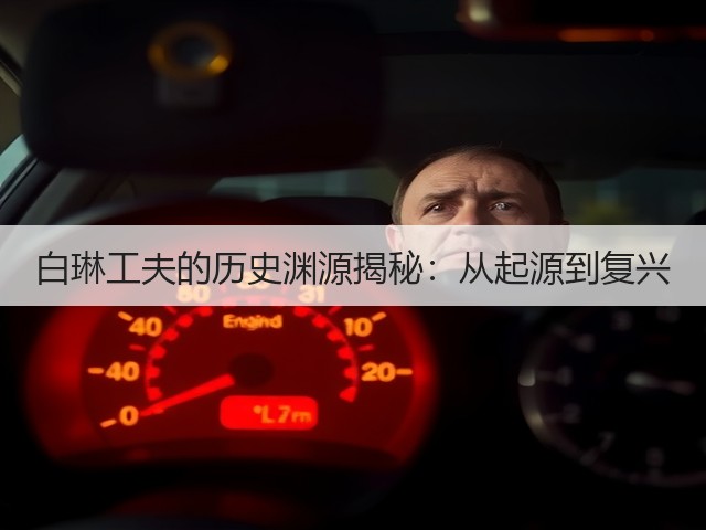 白琳工夫的历史渊源揭秘:从起源到复兴 白琳工夫的历史渊源揭秘:从起源到复兴