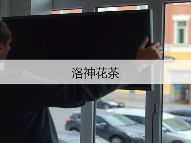 洛神花茶 洛神花茶