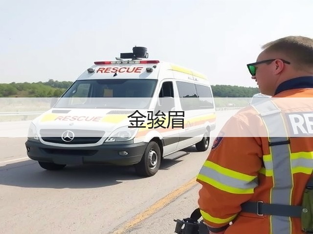 金骏眉 金骏眉