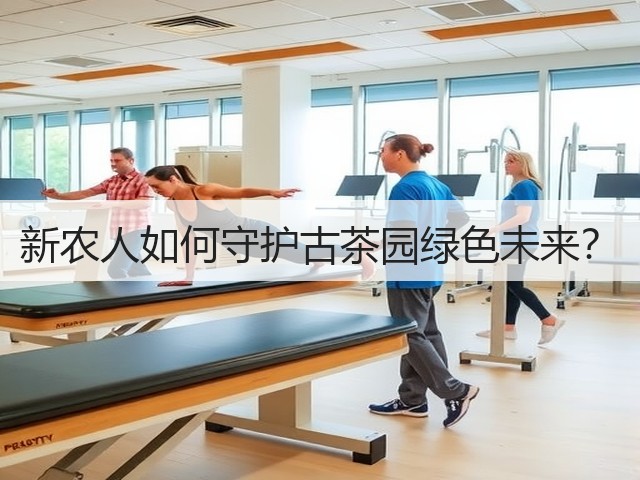 新农人如何守护古茶园绿色未来? 新农人如何守护古茶园绿色未来?