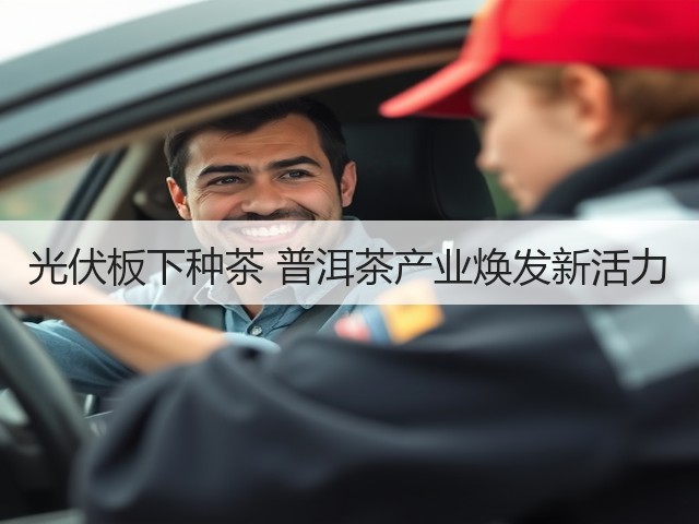 光伏板下种茶 普洱茶产业焕发新活力 光伏板下种茶 普洱茶产业焕发新活力