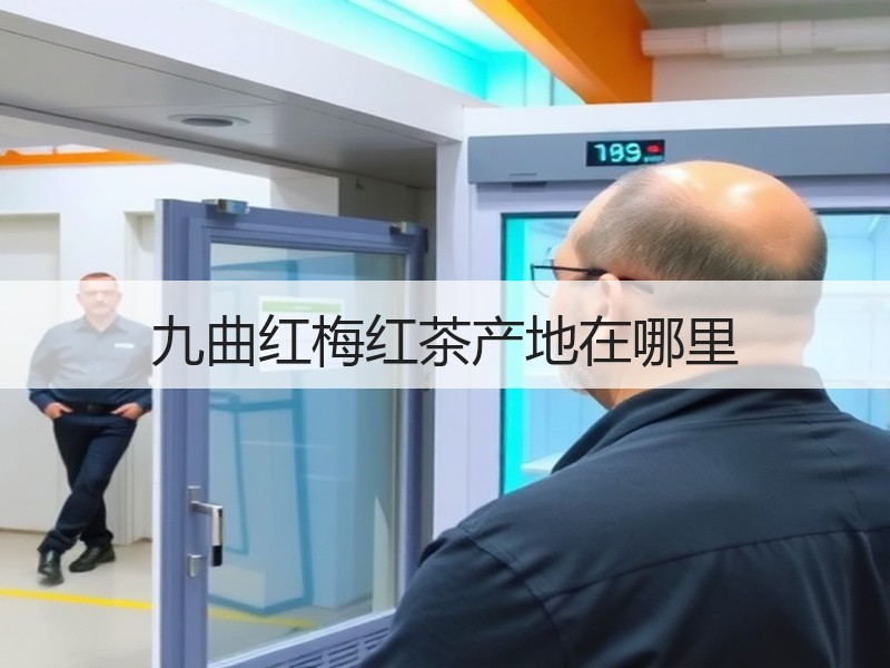 九曲红梅红茶产地在哪里