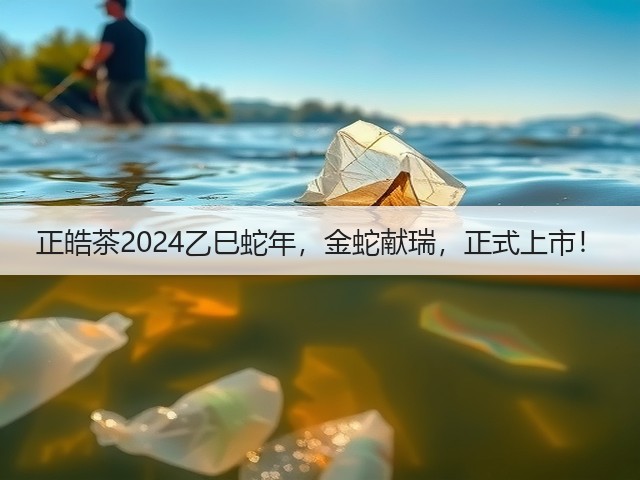 正皓茶2024乙巳蛇年,金蛇献瑞,正式上市! 正皓茶2024乙巳蛇年,金蛇献瑞,正式上市!