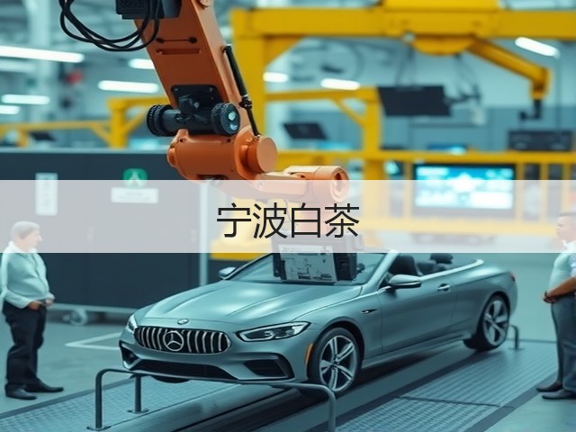 宁波白茶