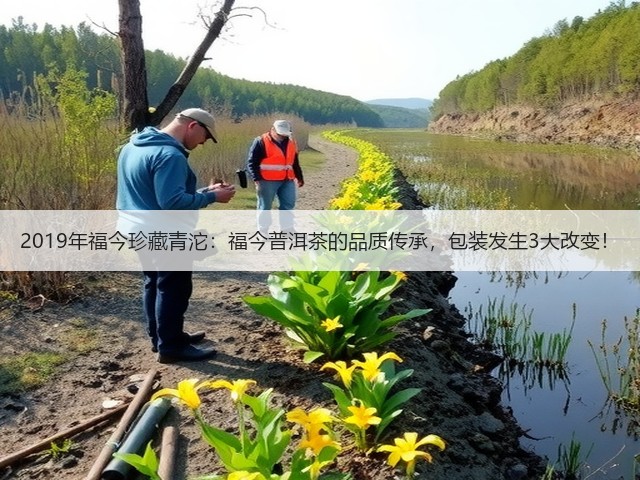 2019年福今珍藏青沱:福今普洱茶的品质传承,包装发生3大改变! 2019年福今珍藏青沱:福今普洱茶的品质传承,包装发生3大改变!