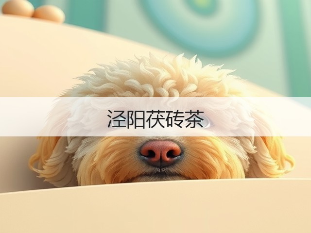泾阳茯砖茶
