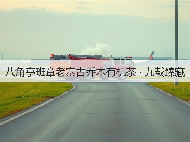 八角亭班章老寨古乔木有机茶 · 九载臻藏 八角亭班章老寨古乔木有机茶 · 九载臻藏