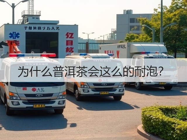 为什么普洱茶会这么的耐泡？