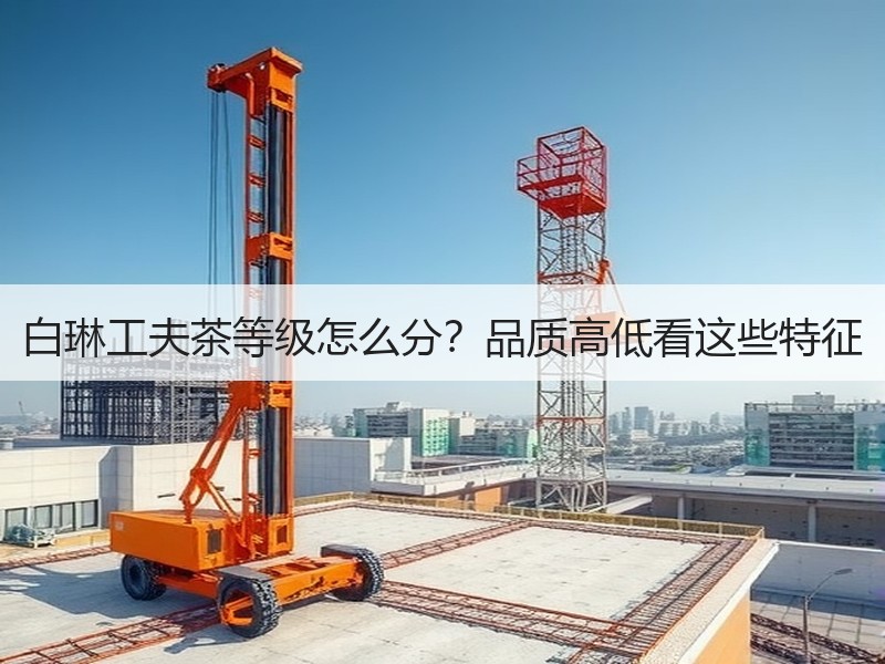 白琳工夫茶等级怎么分?品质高低看这些特征 白琳工夫茶等级怎么分?品质高低看这些特征