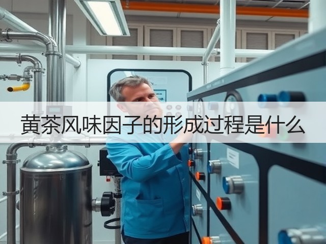 黄茶风味因子的形成过程是什么 黄茶风味因子的形成过程是什么