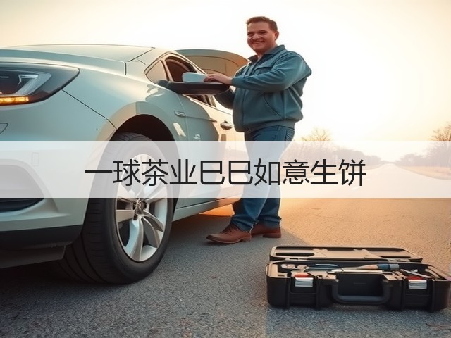 一球茶业巳巳如意生饼
