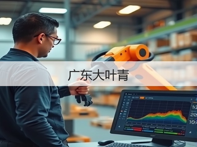 广东大叶青