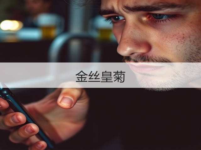 金丝皇菊 金丝皇菊