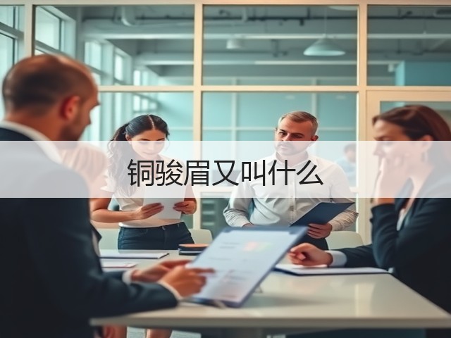 铜骏眉又叫什么
