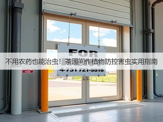 不用农药也能治虫！茶园间作植物防控害虫实用指南