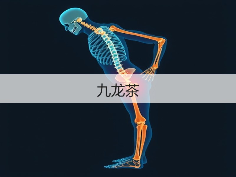 九龙茶