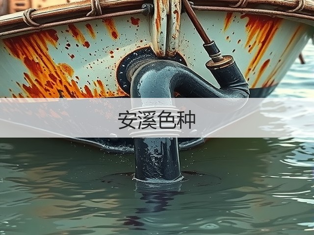 安溪色种 安溪色种