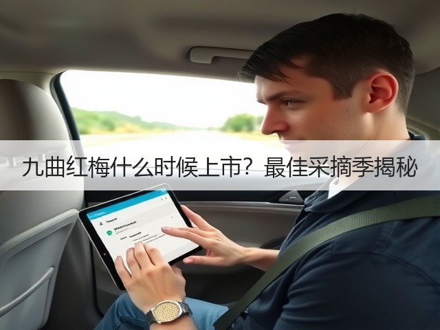 九曲红梅什么时候上市?最佳采摘季揭秘 九曲红梅什么时候上市?最佳采摘季揭秘