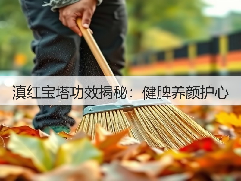滇红宝塔功效揭秘:健脾养颜护心 滇红宝塔功效揭秘:健脾养颜护心