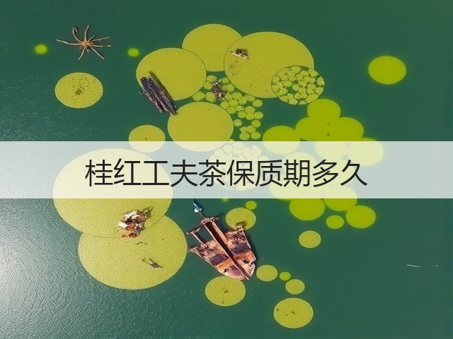 桂红工夫茶保质期多久 桂红工夫茶保质期多久