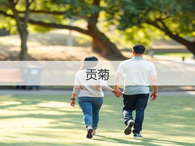 贡菊 贡菊