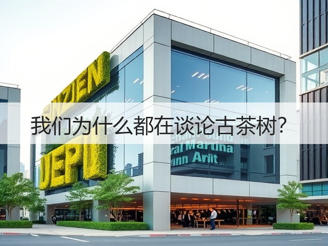 我们为什么都在谈论古茶树？