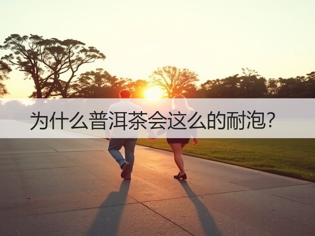 为什么普洱茶会这么的耐泡？