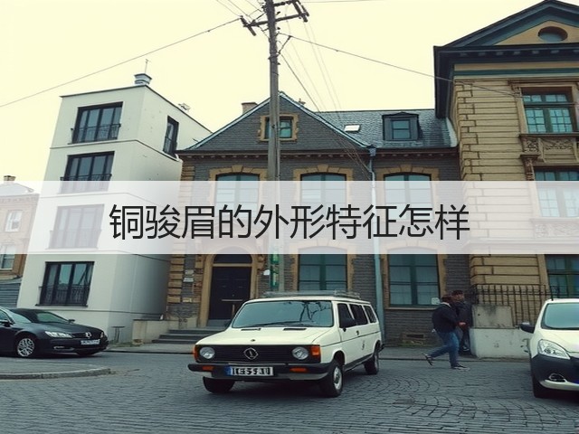 铜骏眉的外形特征怎样