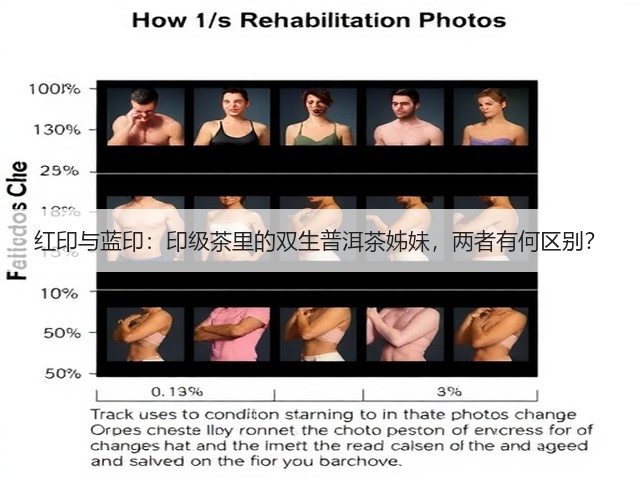 红印与蓝印：印级茶里的双生普洱茶姊妹，两者有何区别？