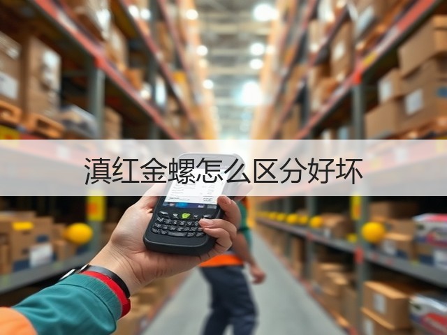 滇红金螺怎么区分好坏
