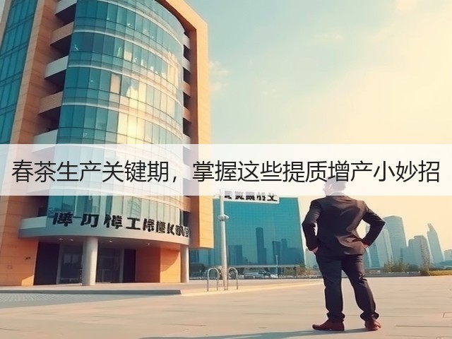 春茶生产关键期，掌握这些提质增产小妙招